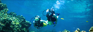 Buceo en el resort del Caribe para buceadores certificados